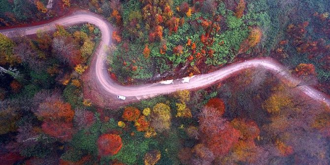 Batı Karadeniz yaylalarında 'hüzünlü güz' vedası