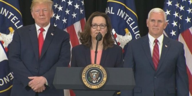 CIA Direktörü Haspel'i taşıyan uçak Ankara'ya iniş yaptı.