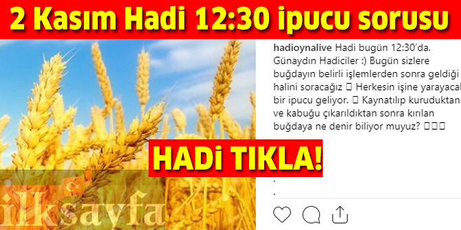 2 Kasım HADİ 12:30 ipucu: Kaynatılıp kuruduktan sonra kırılan buğdaya ne denir?