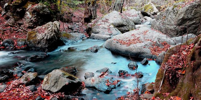 Yalova'da sonbahar güzelliği
