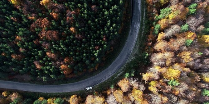 Kunduz Ormanları'nda sonbahar güzelliği