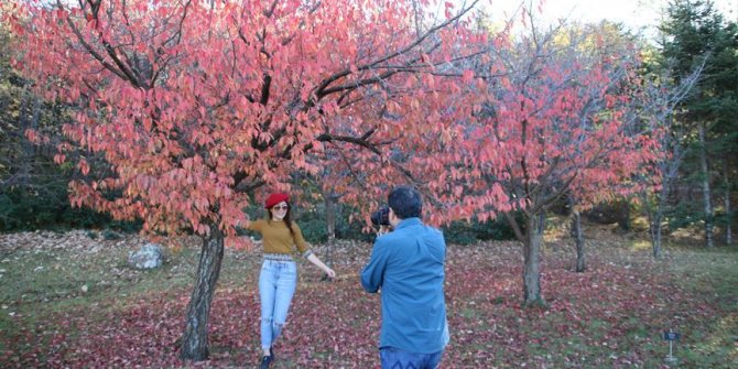 Japon Bahçesi'nde sonbahar güzelliği