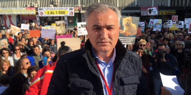 Ulus'ta hayvan hakları protestosu