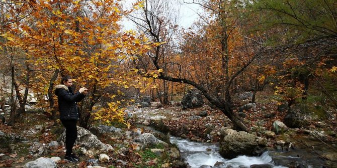 Doğu Akdeniz'de sonbahar renkleri