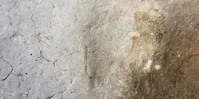 7 bin 500 yıllık 'ayak izleri' bulundu