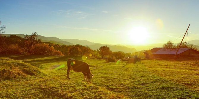 Soğuk hava yarın yurdu terk edecek