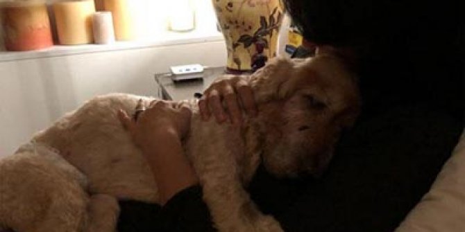 Oyuncu Başak Sayan'ın ölen köpeği üzerine yaptığı garip açıklama