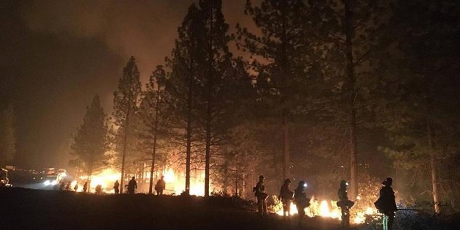 California'daki yangında hayatını kaybedenlerin sayısı 79'a yükseldi