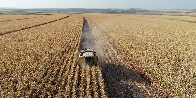 TMO'dan çiftçiye 'alım fiyatı' müjdesi