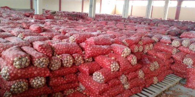 Ankara'da depodan stoklanmış 1300 ton kuru soğan çıktı