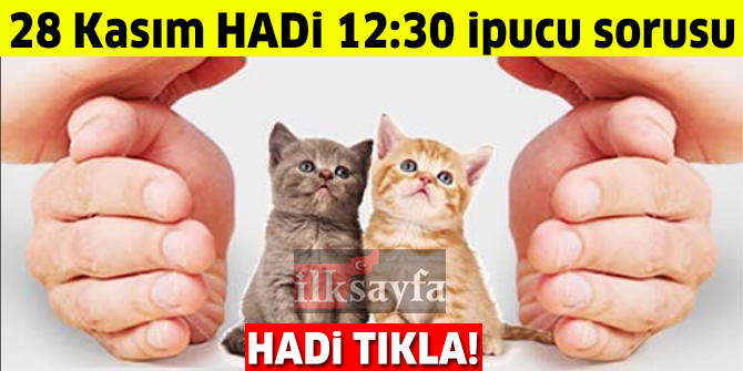 Kedilerin soğuktan korunması için yapılan barınaklara ne ad verilir? 28 Kasım HADİ 12:30 ipucu