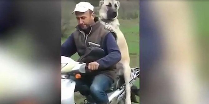 Kangalın motosiklet keyfi kamerada