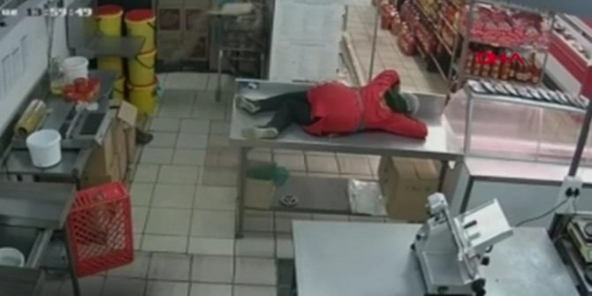 Marketi kediler bastı: Çalışan ne yapacağını şaşırdı
