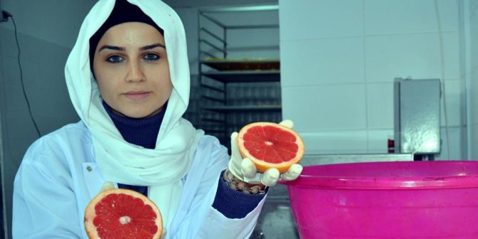 Sağlıklı gıda için yola çıkıp meyve cipsi üretim tesisi kurdu