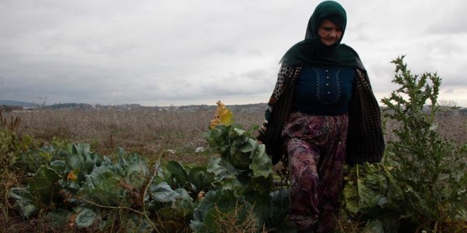 Yerli tohumdan ürettiği ürünleri pazarda satıyor