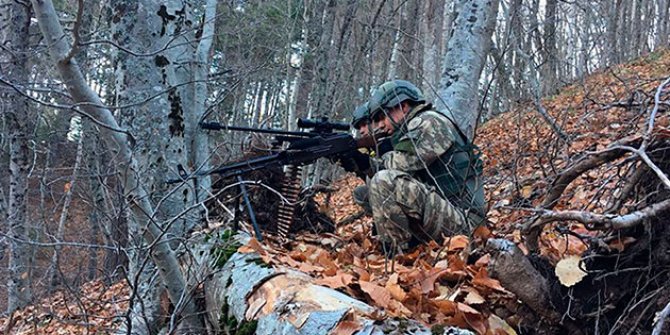 Tunceli'de PKK'nın kış üstlenmesine darbe