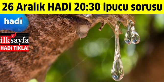 26 Aralık HADİ 20:30 ipucu: Damla sakızı nereden elde edilir? ​​​​​​​