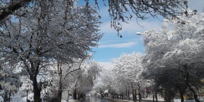 Kara bir de böyle bakın: İşte karın faydaları