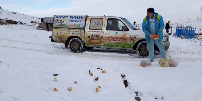 Pursaklar'da hayvanlar için doğaya yiyecek