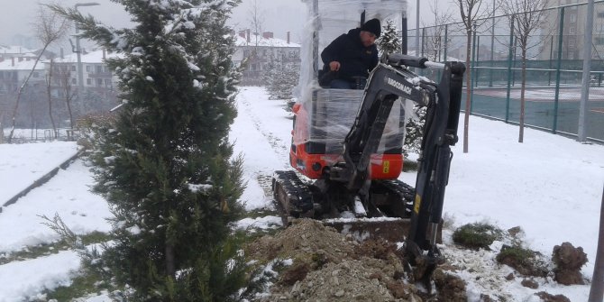 Hobi bahçesi bahara nasıl hazırlanır? Bahçe yapımı ve ağaçlandırma için pratik çözüm