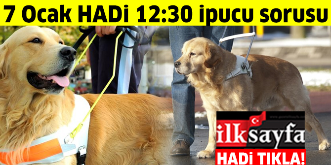 Görme engellilere refakat ederek onların bağımsız hareket etmelerine yardımcı olan özel eğitimli köpeklere verilen ad nedir? 7 Ocak HADİ 12.30 ipucu