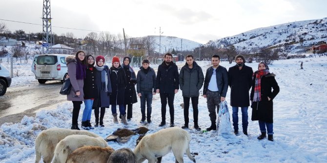 Belediye ve gönüllüler, hayvanlara mama bıraktı