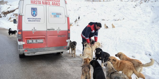 150 noktada çalışma