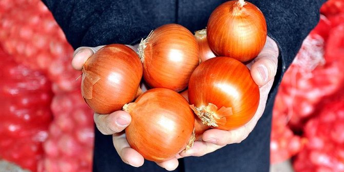 Kuru soğanda gümrük vergisi geçici olarak sıfırlandı