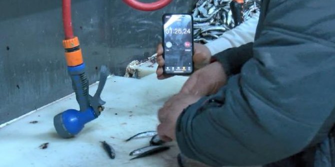 Ankaralı balıkçılardan hamsi temizleme rekoru