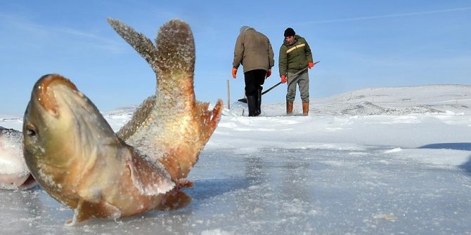 Eskimo usulü balık avlıyorlar