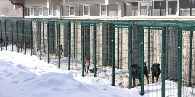 Tam kapasite için geri sayım başladı