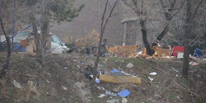 Aktaş Mahallesindeki yeşil alan çöplüğe döndü