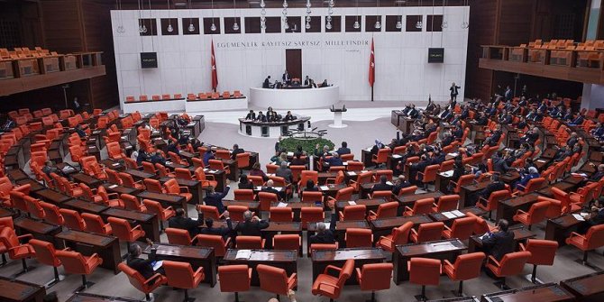 Meclis nadir görülen hastalıkları araştıracak