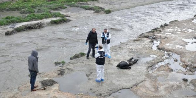 Ankara Çayı'nda erkek cesedi bulundu