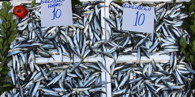 Sardalya ucuzlayınca hamsi gölgede kaldı