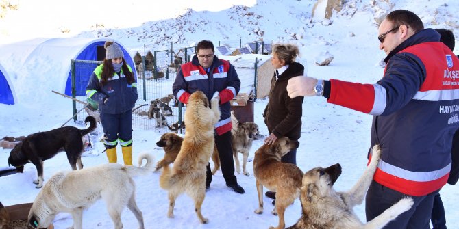 Ücra bölgelerdeki köpeklere gıda desteği