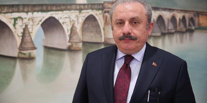 'Tanzim satışlar balon fiyatları söndürdü'