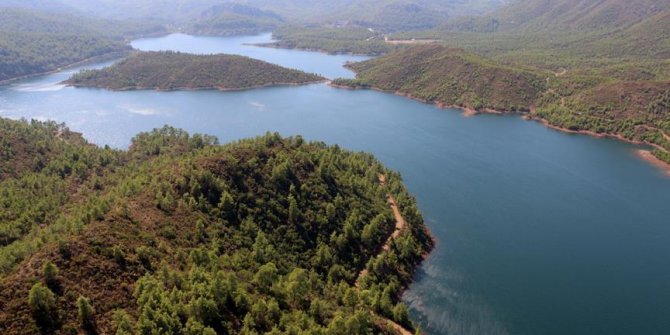 İklim değişikliğine karşı ağaçlandırma