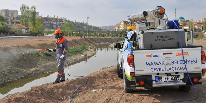 Larva ilaçlaması başladı