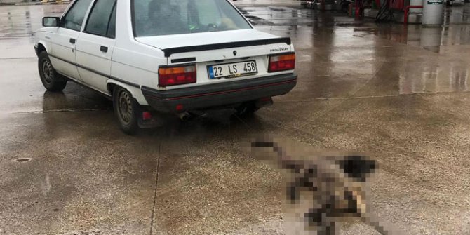 Cezası belli oldu!