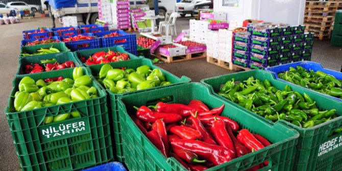 Tanzim marketlerde başla: Patates ve soğan kaç TL'den satılacak