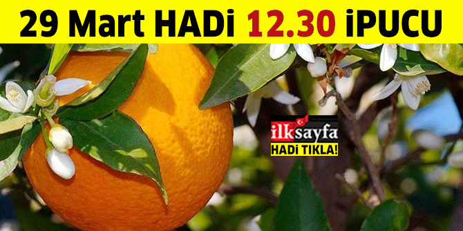 29 Mart HADİ 12.30 ipucu sorusu: Portakal Çiçeği Festivali nerede hangi şehirde?