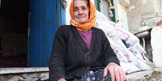 Uçurumdan düşen ineği öldü, buzağısı ile teselli buluyor