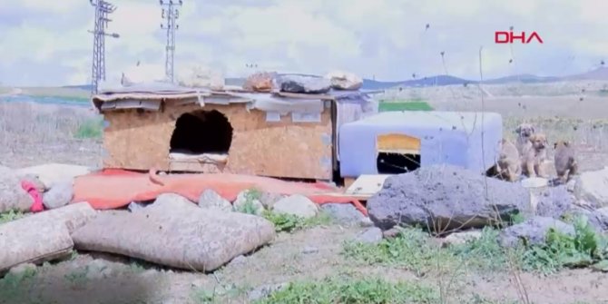 Ankara'daki katliamla ilgili yeni gelişme