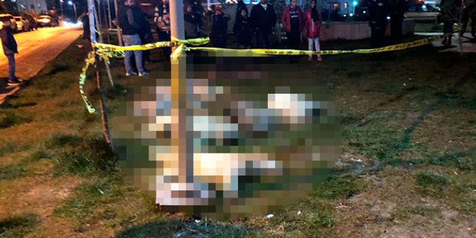 Ankara'daki köpek katliamıyla ilgili yeni gelişme