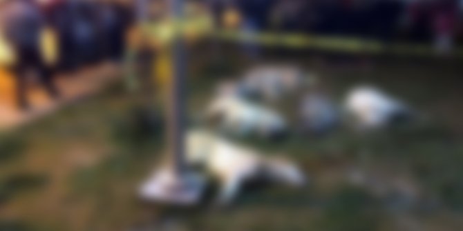 Ankara'daki köpek vahşetiyle ilgili yeni gelişme!