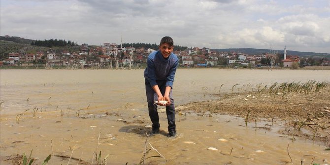 Tarladan balık topladılar