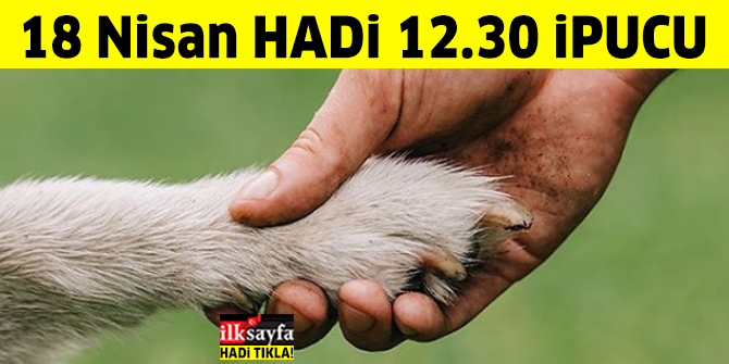 18 Nisan HADİ Magazin ipucu: Konsere köpeğiyle çıkan, "Kadına ve hayvanlara uygulanan şiddete yeter diyorum" diyen şarkıcı kimdir? 12.30 ipucu  sorusu cevabı