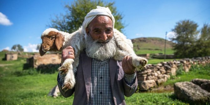 5 bin lira aylığa çoban bulamıyorlar