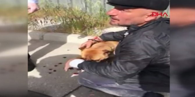 Tepki çeken olay: Köpeğini motosikletin arkasına bağlayarak sürükledi